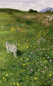 Hare in Spring Flowers by Douglas Anderson