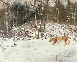 Lynx and Hare by Douglas Anderson