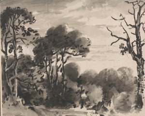 Composition: The Edge of a Wood