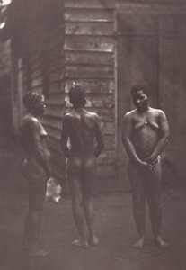 Three Malagasy Women (Plate 30)