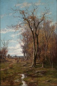 Autumn Landscape