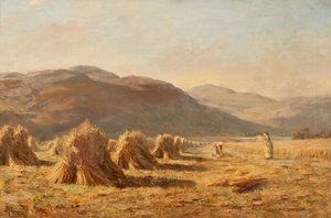 Harvesting Near Dumyat, Ochil Hills by Duncan Cameron