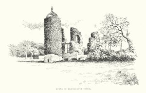 Ruins of Brambletye House by Duncan Moul