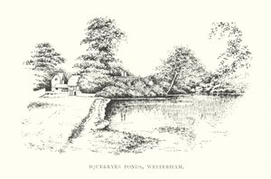 Squerryes Ponds, Westerham by Duncan Moul