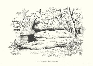 The Chiding-Stone by Duncan Moul