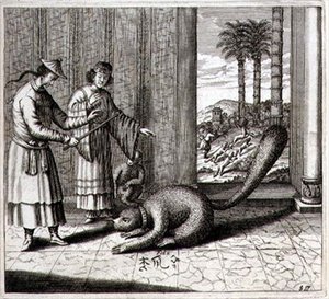 A Freak Animal, from 