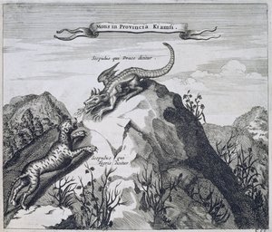 A Mountain in the Jiangxi Province with Crags Known as the Dragon and the Tiger, from China Illustrated by Athanasius Kircher