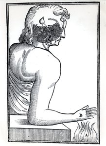The Perception of the Senses, from De Homine Figuris by Rene Descartes (1596-1650) published in Amsterdam, 1677 by Dutch School