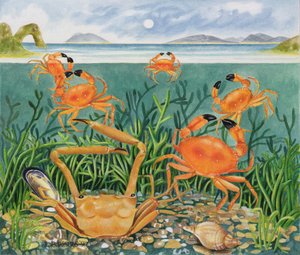 Crabs in the Ocean, 1997 by E.B. Watts