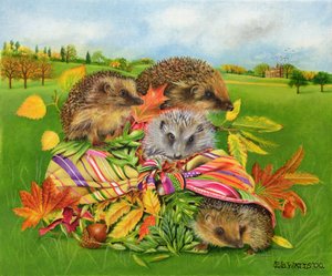 Hedgehogs Inside Scarf, 2000