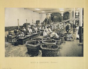 Bottling Champagne, from La France Vinicole, Published by Moet & Chandon, Epernay