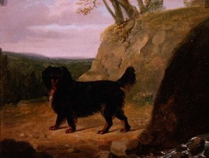 A Cocker Spaniel in the Landscape by E.W. Gill
