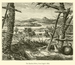 The Zambesi River from Logier