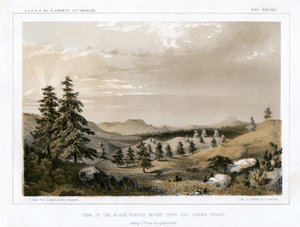 The Black Forest Mount Hope and Sierra Prieta, USA