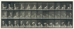 Animal Locomotion. An Electro-Photographic Investigation of Consecutive Phases of Animal