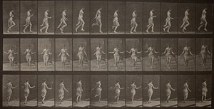 Animal Locomotion, Plate 174, 1887 by Eadweard Muybridge