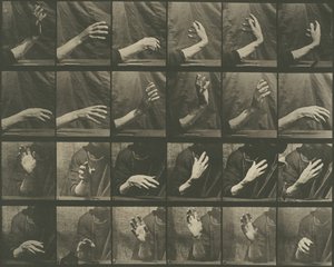 Animal Locomotion, Plate 535 by Eadweard Muybridge