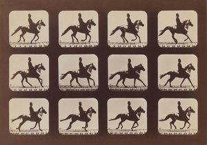 Attitudes of Animals in Motion by Eadweard Muybridge