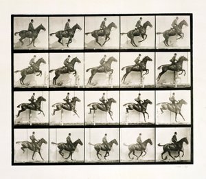 Man and Horse Jumping a Fence by Eadweard Muybridge