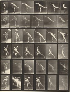 Plate Number 523. A: Striking a blow. B, E: Throwing disk. C, F: Heaving a 75-lb. Stone by Eadweard Muybridge