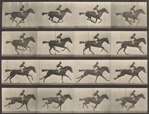 Plate Number 626. Gallop, thoroughbred bay mare, Annie G., 1887
