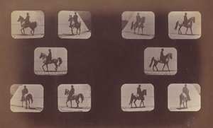Studies of Foreshortenings. Horses. Walking. Mahomet. Nos. 119-120, 1879 by Eadweard Muybridge