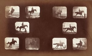 Animal Locomotion (Man on Horse Over Hurdles) by Eadweard Muybridge