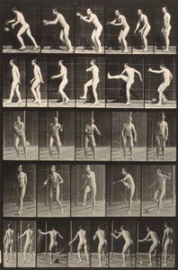 Animal Locomotion (plate 300) (Man Kicking a Ball)