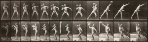 Animal Locomotion (Plate 319) (Man Throwing a Ball) by Eadweard Muybridge