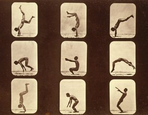 Athletes. Flip flap 