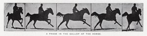 A Phase in the Gallop of the Horse by Eadweard Muybridge