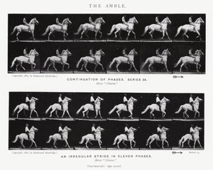 The Amble by Eadweard Muybridge