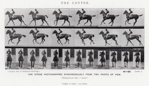 The Canter