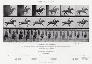 Eadweard Muybridge: The Gallop