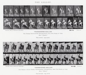 The Gallop