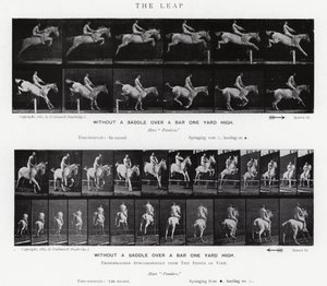 Eadweard Muybridge: The Leap by Eadweard Muybridge