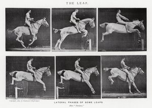 The Leap