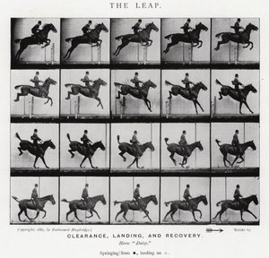 The Leap by Eadweard Muybridge