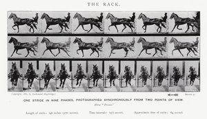 The Rack