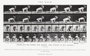 Eadweard Muybridge: The Walk