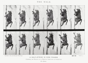 Eadweard Muybridge: The Walk