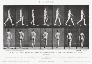 The Walk