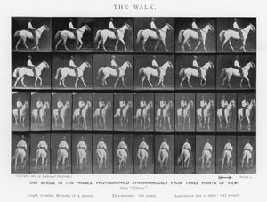 The Walk