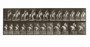 Galloping Horse with Rider, Plate 635 from Animal Locomotion by Eadweard Muybridge