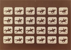 Horses Running by Eadweard Muybridge