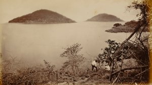 Perico and Flamenco - from Island of Naos, Panama by Eadweard Muybridge