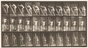 Plate 110. Ascending Stepladder, Two Steps at a Time