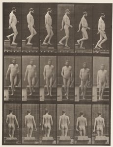 Descending Stairs by Eadweard Muybridge