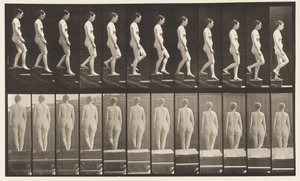 Plate 129. Descending Stairs, Hands Clasped