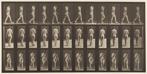 Plate 14. Walking, Right Hand at Chin by Eadweard Muybridge